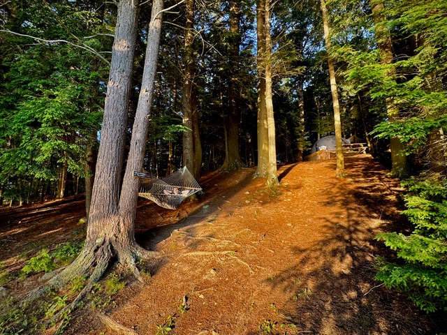 Island life in the Winthrop Lakes Region